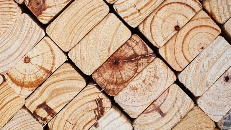 بهترین چوب برای مبلمان چی هست؟